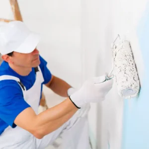 Step6-Professional-Paint-Application