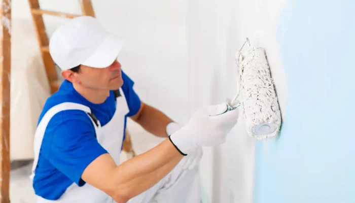 Step6-Professional-Paint-Application