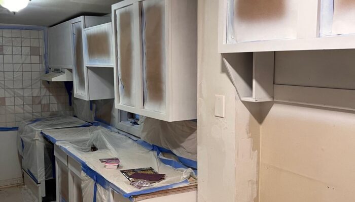 Step4-Professional-Priming